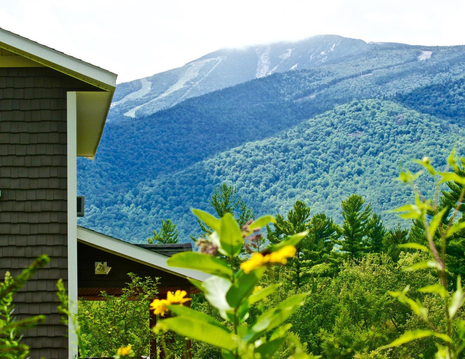 Lookout Mountain Chalet Villa Wilmington Exterior photo